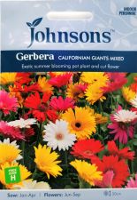 Gerbera California Giants Mix Seeds